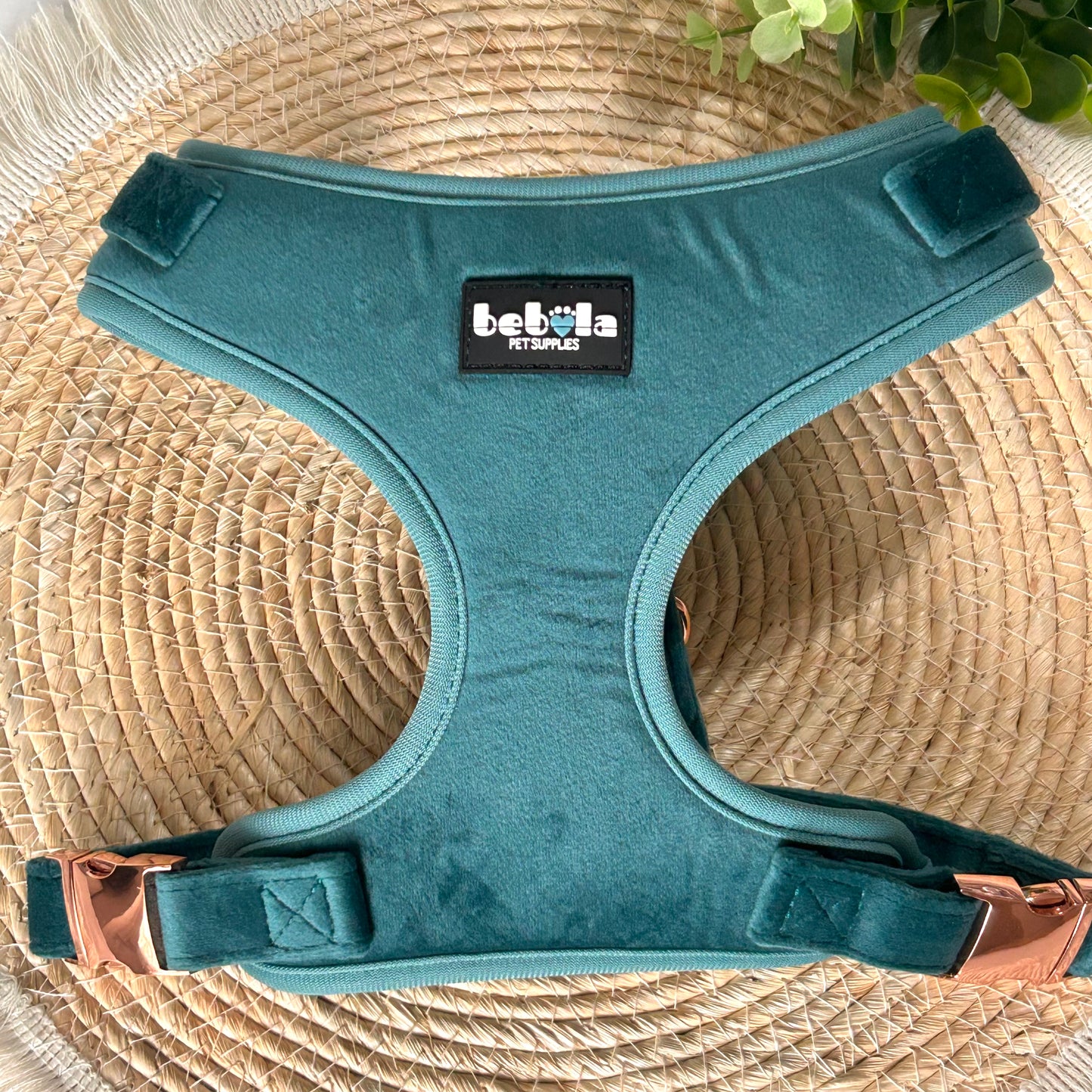 Pettorina in velluto verde smeraldo – Comfort, eleganza e controllo in ogni dettaglio