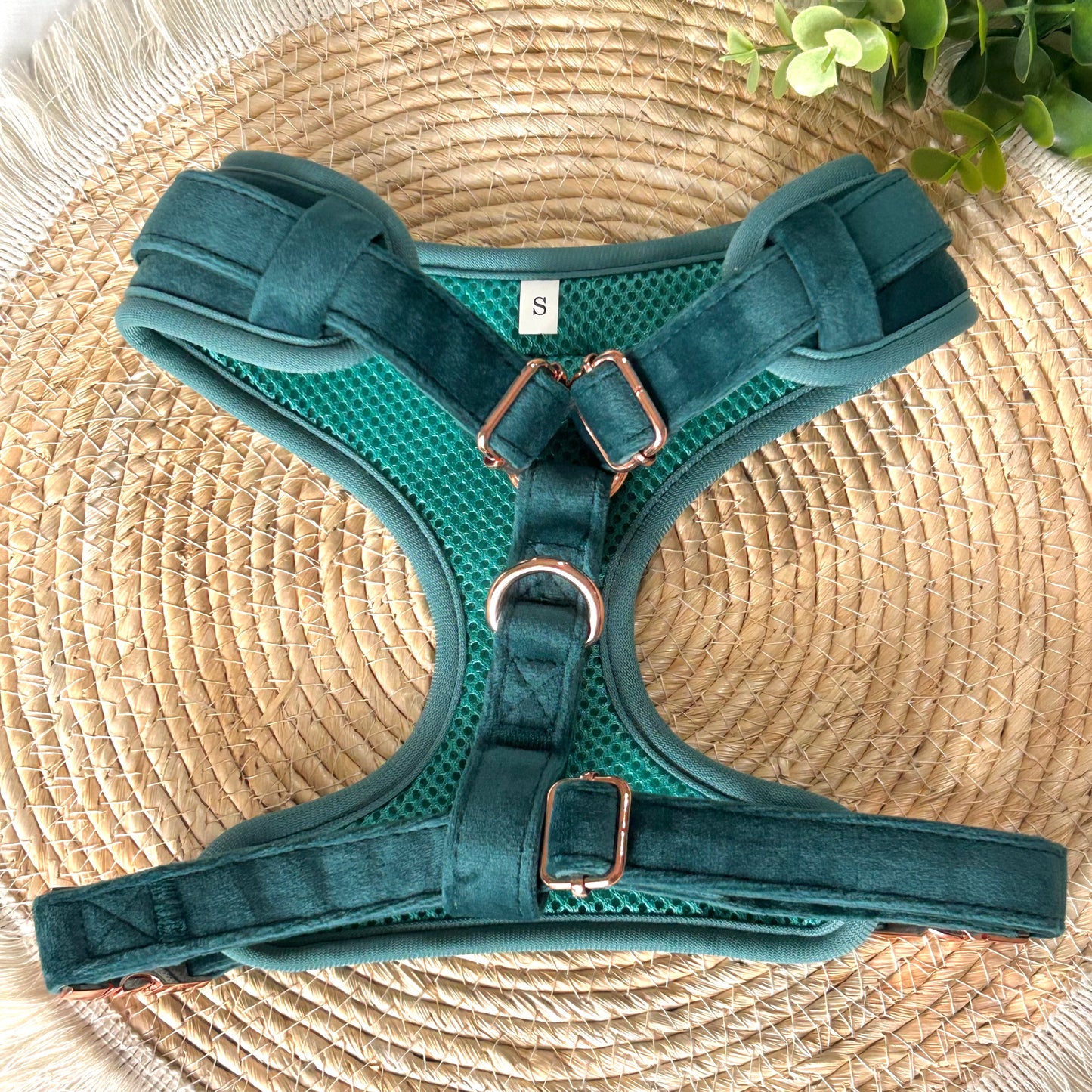 Pettorina in velluto verde smeraldo – Comfort, eleganza e controllo in ogni dettaglio