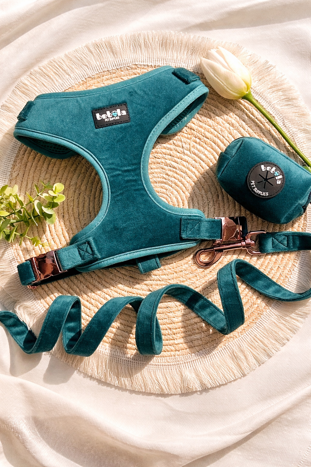 Set Pettorina in Velluto Verde – Eleganza e Comfort per il Tuo Cane
