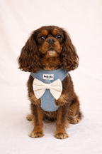 Set pettorina in jeans chiaro - eleganza per occasioni speciali!