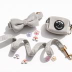 Set Collare, Fiocco, Guinzaglio e Poop Bag in Morbido Velluto Grigio – Eleganza e Comfort per il Tuo Cane