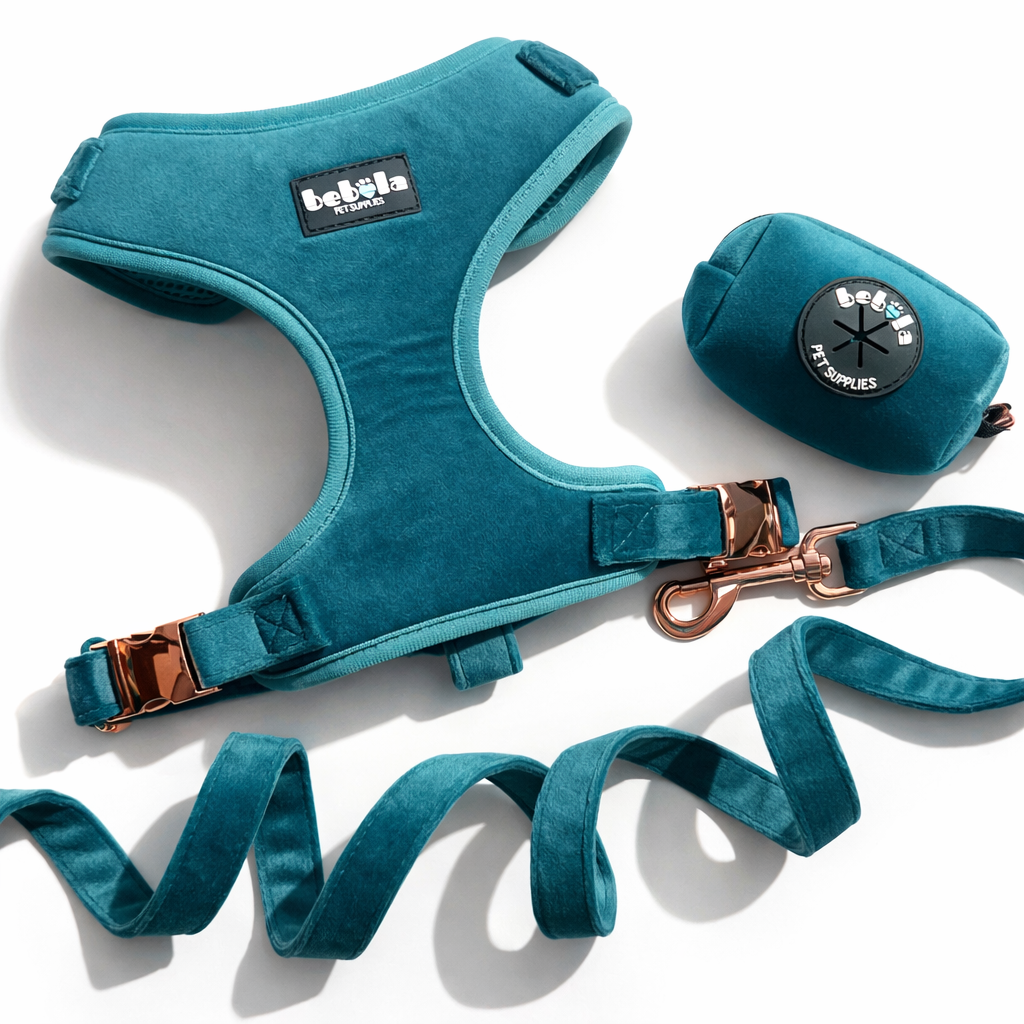 Set Pettorina in Velluto Verde – Eleganza e Comfort per il Tuo Cane
