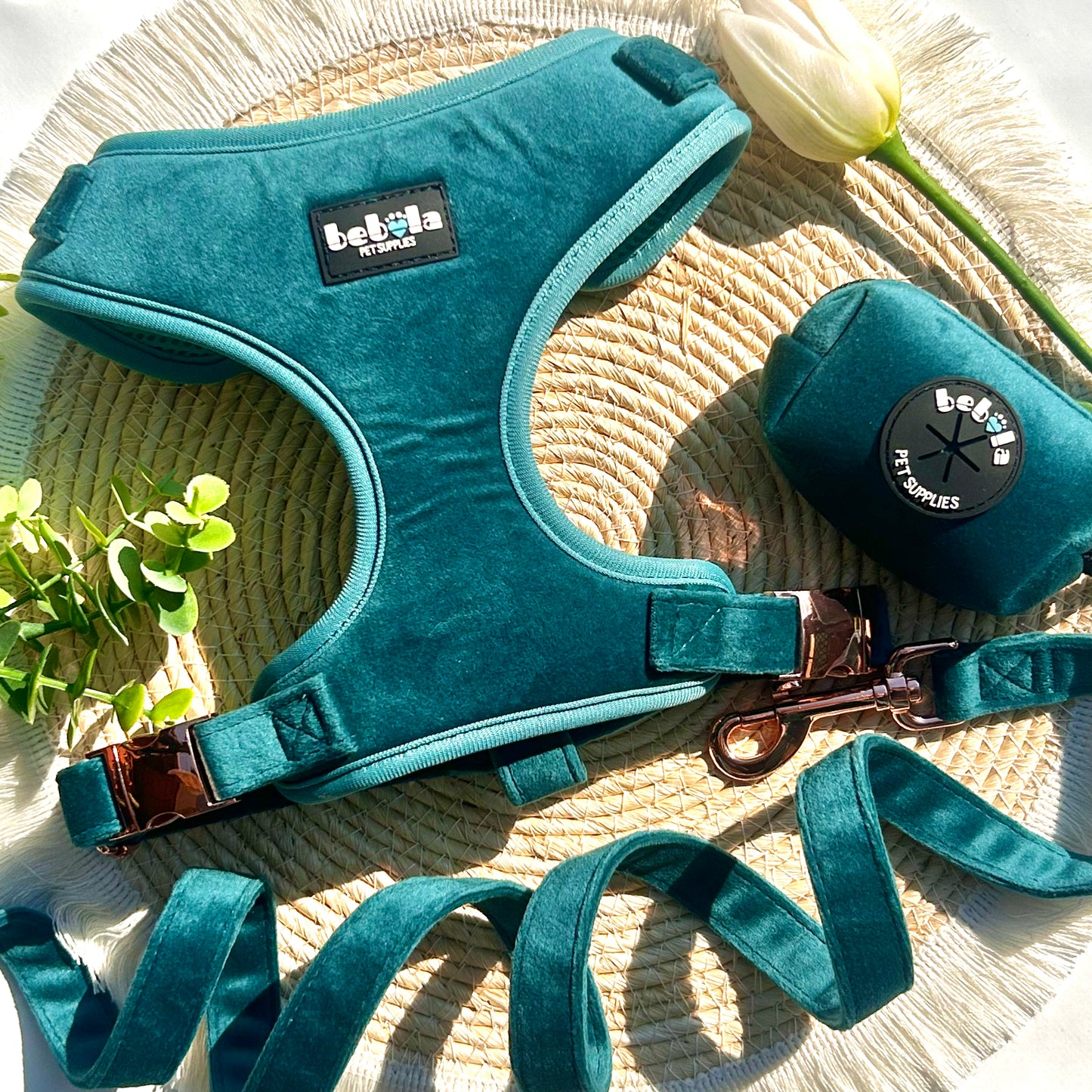 Set Pettorina in Velluto Verde – Eleganza e Comfort per il Tuo Cane