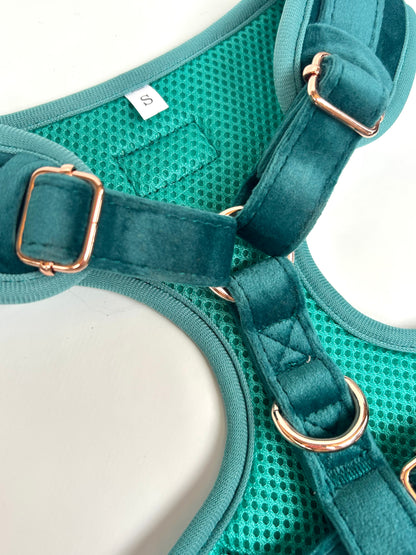 Set Pettorina in Velluto Verde – Eleganza e Comfort per il Tuo Cane