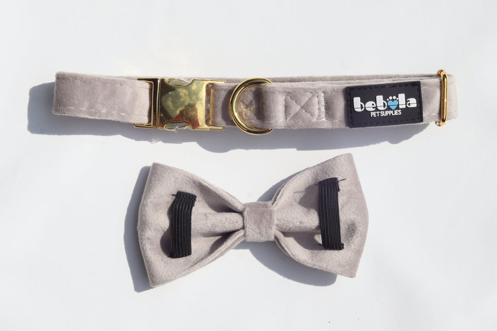 Set Collare, Fiocco, Guinzaglio e Poop Bag in Morbido Velluto Grigio – Eleganza e Comfort per il Tuo Cane