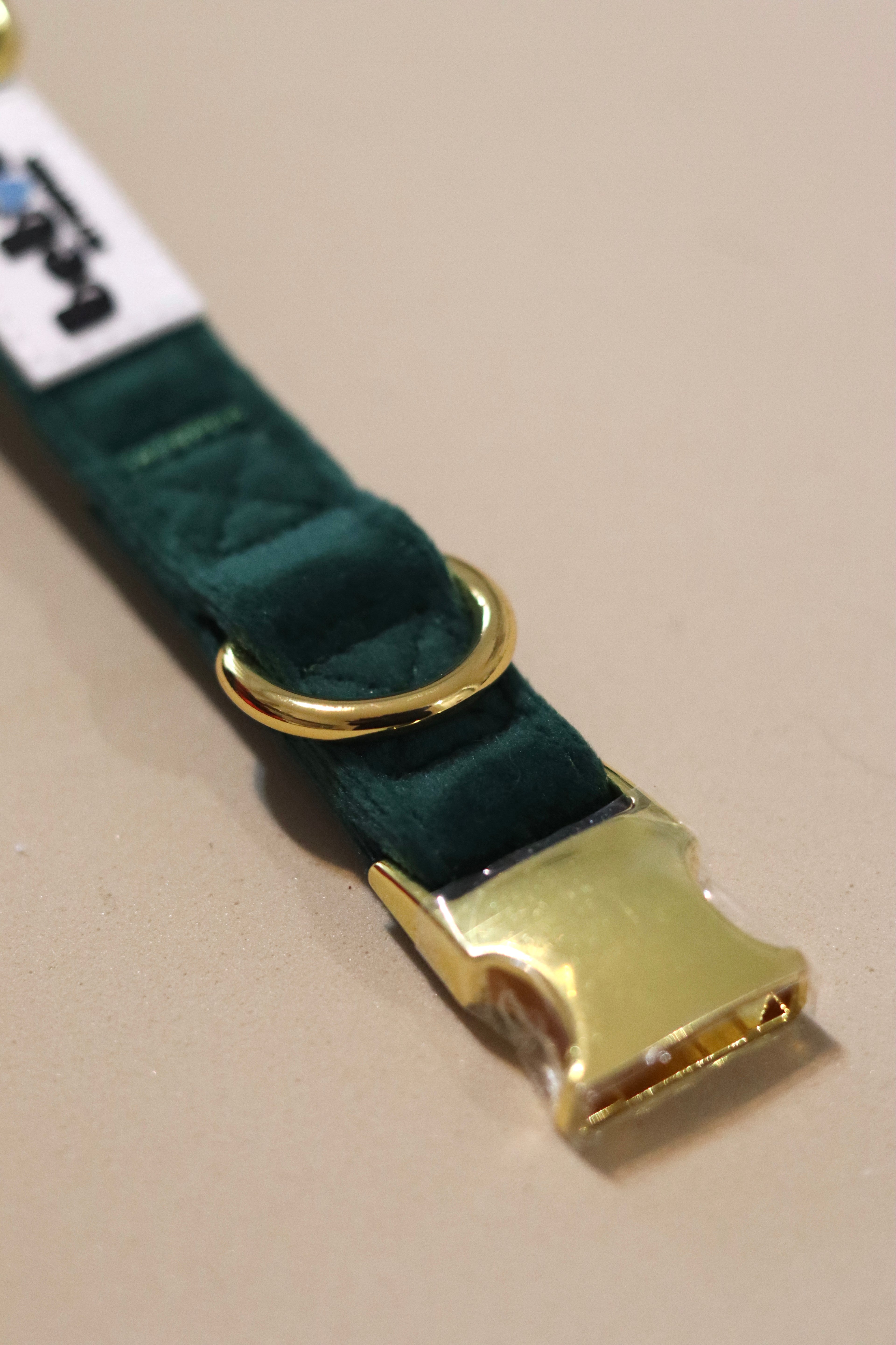 🎄 Combo Christmas Edition – Bandana + Collare Verde con Fiocco in velluto e Dettagli Oro | Bebola