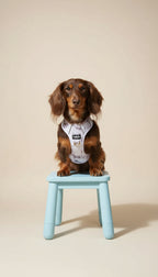 Set Pettorina, Guinzaglio e Borsetta Porta Sacchetti – Effetto Marmo, Elegante e Resistente per Cani che Tirano