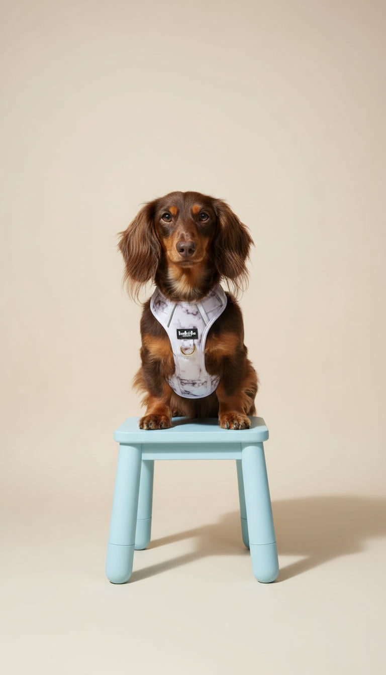 Set Pettorina, Guinzaglio e Borsetta Porta Sacchetti – Effetto Marmo, Elegante e Resistente per Cani che Tirano